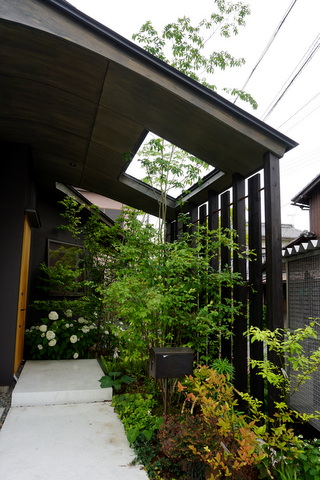 DSC03898.JPG
