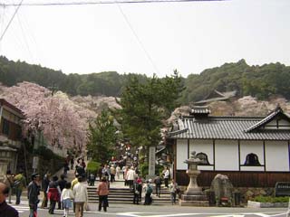 長谷寺山門