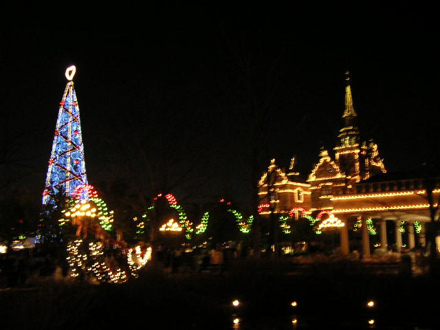 クリスマスツリー遠景