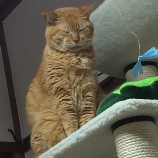 むーん