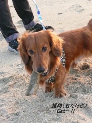 獲ったど〜