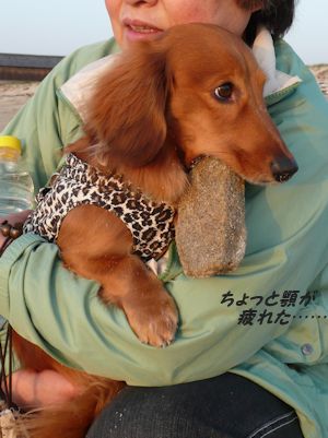 今日の獲物はでかいぜ!