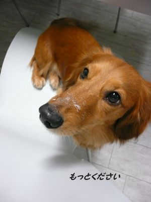 ください♪