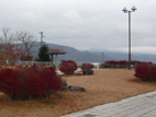 20071215