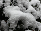 20071216-2