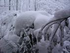20071216-4
