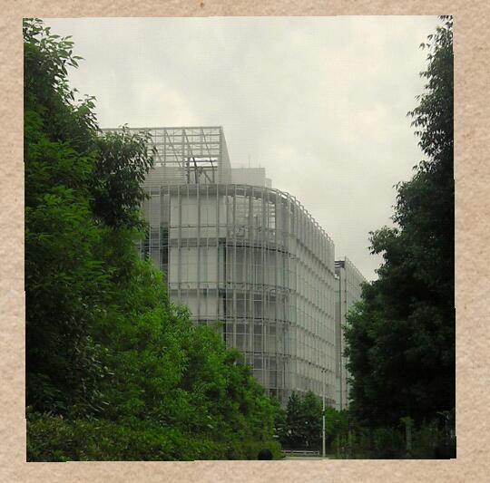 Collage 2015-06-16 16_45_03-1.jpg