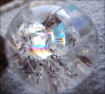 20090727_618260.jpg