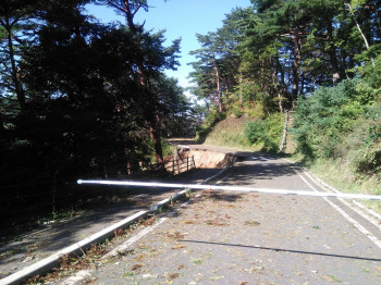 870.jpg