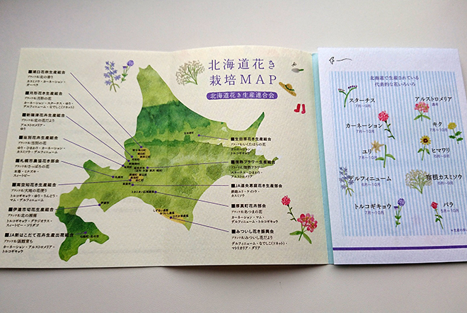 北海道で生産されている花と時期
