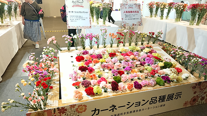 札幌チカホ「北海道ベストフラワーコレクション」