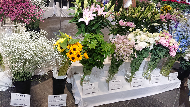 札幌チカホ「北海道ベストフラワーコレクション」