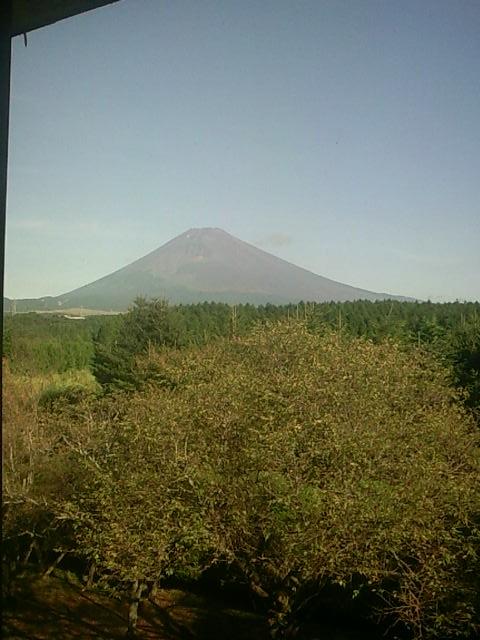 2日目の朝、宿泊施設からはこんなにキレイな富士山が