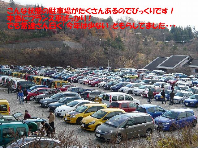 こんなPがたくさんです