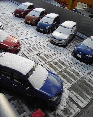 雪化粧です☆