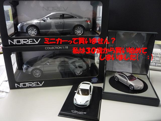 無駄なお金ではない!たぶん・・・