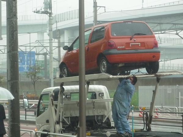カナリ、寂しい
