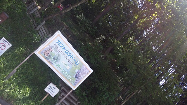 このドームが目的地!