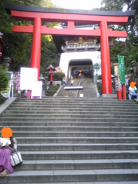 赤い鳥居がね…♪