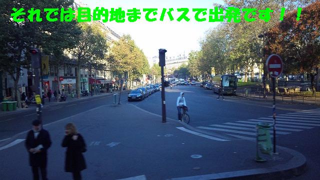なんだかのどかです!