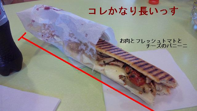 これ一本で十分でした