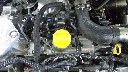でもコレが気になります