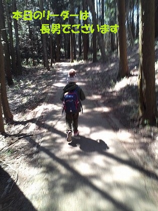 意気揚々と登っていきます!