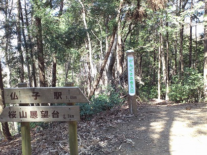 結構時間経ったけど後戻りできないよね・・・。