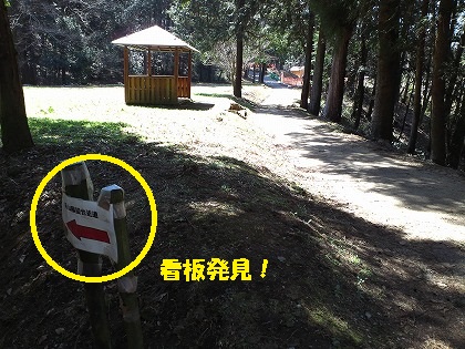 明るくなってきた!