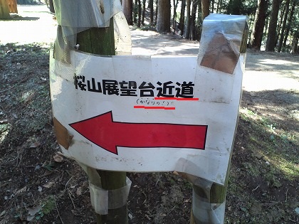 チャンス到来!