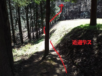 急だけど意外と行けそう!