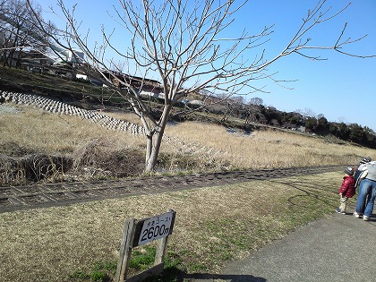 最後は河原歩きです・・・。