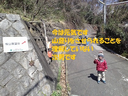 まだ元気です