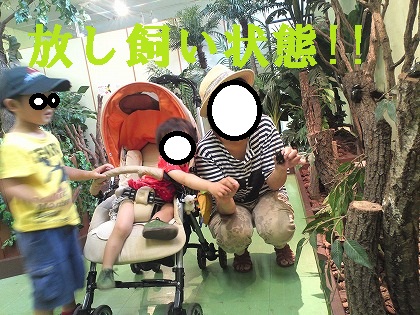待望のゾーン!