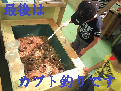 カブト釣りは真剣にやってました
