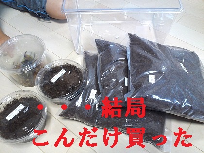 結局はこんな感じ