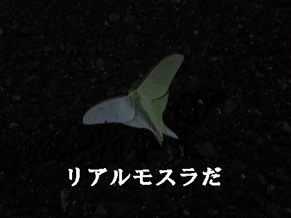ちょ〜こえぇ