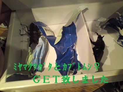 東京じゃありえん