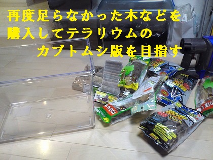 はまったのか・・・