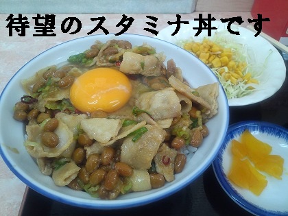 これ食べたかったんだ