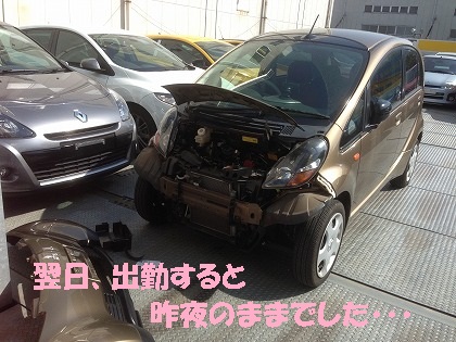小人はいないみたいです