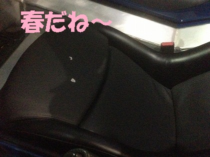 四季を感じられるのはとても素敵なことです!