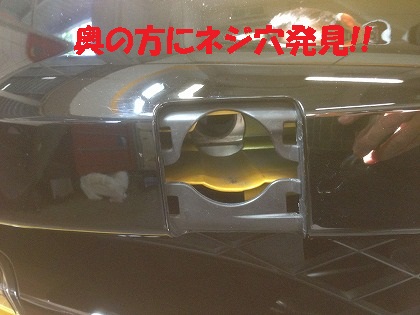 こんなんなってます