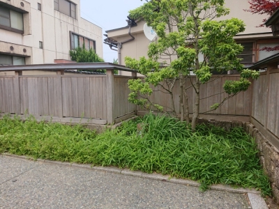 新樹造園 誠意と創意の庭 富山県南砺市