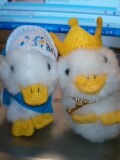 20070127_332368.jpg
