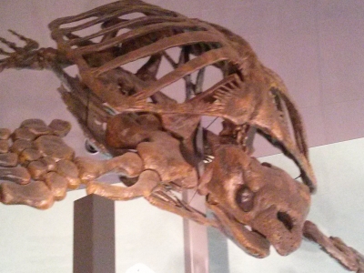 IMG00268.jpg