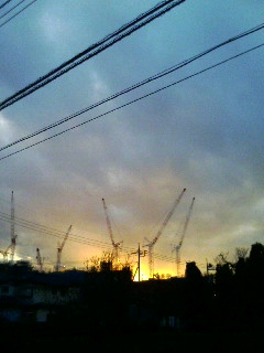 100123_163306.JPG