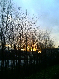 100123_163214.JPG