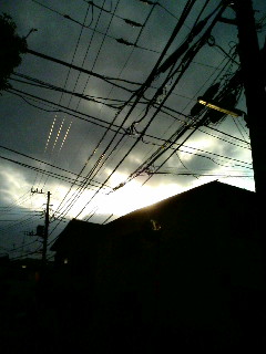 100122_151426.JPG