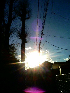 100206_161903.JPG